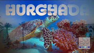 Arabia Azur Resort Hurghada | Diving Red Sea | 2023