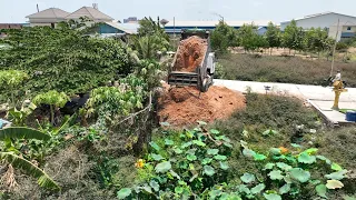 Nicely First Start a New Project Dump Truck 5Ton ​Pouring Soil By Dozer KOMATSU D20p Push Soil