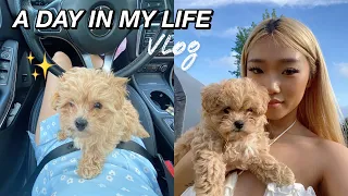 I GOT A NEW PUPPY! 🐶 | A DAY IN MY LIFE