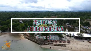 离别的车站 ( Li Bie De Che Zhan  ) Female Version - Karaoke mandarin with drone view