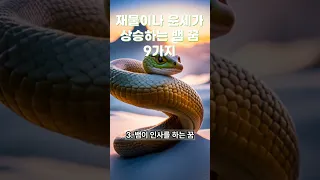 [꿈해몽] 부자되는 뱀꿈 9가지