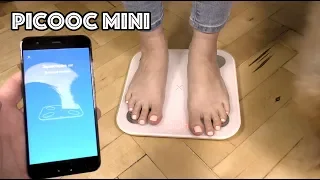 Умные весы Picooc Mini