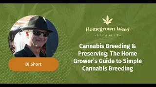 The Home Grower’s Guide to Simple Cannabis Breeding | DJ Short