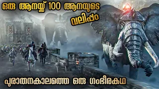 വേശ്യാലത്തിൽ വളർന്ന ഒരു രാജകുമാരൻ അത് അവന് അറിയില്ലായിരുന്നു @malluexplainer185