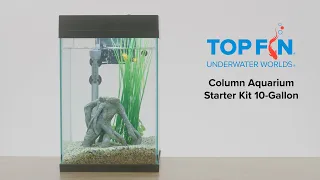 Top Fin Column #Aquarium Fishtank Starter Kit Setup, 10-Gal | YouTube