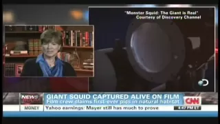 Giant squid captured alive on film (January 27, 2013)