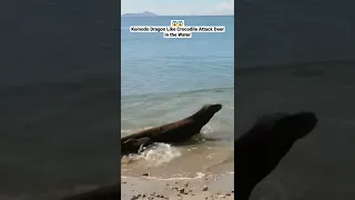 Komodo Dragon Like Crocodile Attack Deer in the Water 🦌🐊😱 #shorts #animals #wildlife #viral