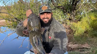 PESCA Y COSINA de Bagres de RIO con la Mejor Carnada