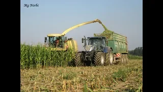 *KUKORICA SILÓZÁS* Pinkamenti Agrár Kft. "Krone, New Holland, Claas, Ferguson, Rába, Manitou, MTZ"