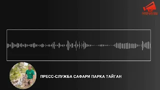 СРОЧНО⚡️Арестован Олег Зубков.Комментарий представителей сафари-парка Тайган