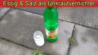 Essig & Salz im Garten gegen Unkraut verboten oder erlaubt? Vorteile & Nachteile von Essig & Salz