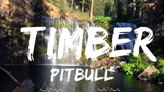 Pitbull - Timber (Lyrics) ft. Ke$ha  || Palmer Music