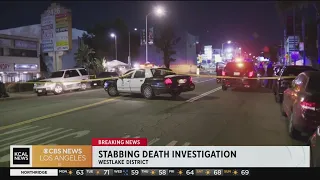 Westlake District stabbing: Man dies on sidewalk