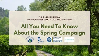 All You Need To Know about the 2021 Spring Tree Campaign