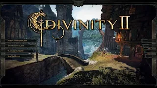 Divinity 2: Ego Draconis - s9