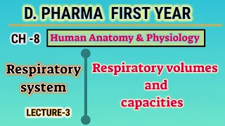 Respiratory volumes and capacities | CH-8 | L-3 | Respiratory system | D.Pharm first year