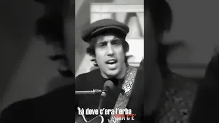 1966 - Il ragazzo della via Gluck - Adriano Celentano