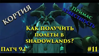 Патч 9.1 Как получить полёты в Shadowlands? Цепи господства.  Часть 11.