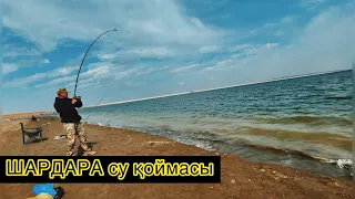 Шардара су қоймасы | водохранилище шардара |рыбалка 2021 Туркестанска область| рыбалка с начевкой