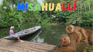 Un PARAÍSO en el AMAZONAS - Misahuallí 🐒 / Josué y Eli