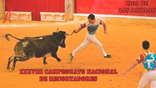 ⭕👌🏻🐂 XXXVIII CAMPEONATO NACIONAL DE RECORTADORES