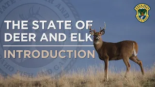 The State of Deer and Elk: Introduction