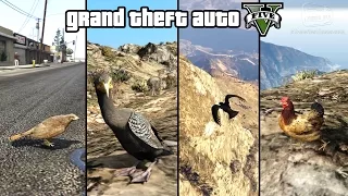 GTA 5 - Play as a Bird (Chicken, Seagull, Hawk, Crow & more) [PS4 & Xbox One]