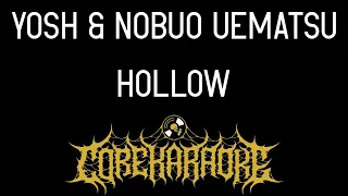 Yosh & Nobuo Uematsu - Hollow [Karaoke Instrumental]