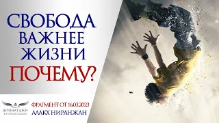 ПОЧЕМУ СВОБОДА ВАЖНЕЕ ЖИЗНИ?