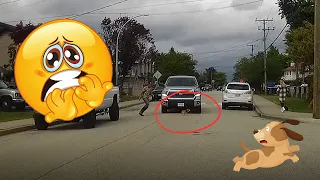 Close Call For That Puppy! | Vancouver's Worst Drivers