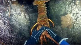 Lobster Hunting and Kayak Diving with GoPro