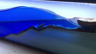 Wave Tank, Impact Tsunami