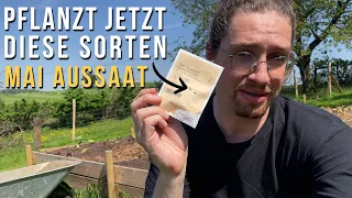 Aussaat im Mai: Diese 10 Gemüse Sorten bauen wir jetzt an!