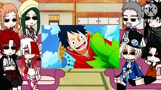 Luffy's family reaction to Luffy || One Piece