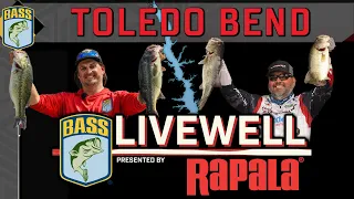 LIVEWELL previews 2024 Bassmaster Elite at Toledo Bend