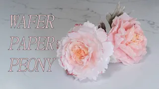 Easy Wafer Paper Peony Tutorial