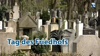 Tag des Friedhofs auf dem Münchner Ostfriedhof