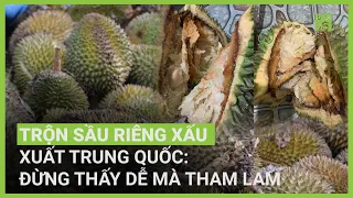 Bỏ cọc, trộn sầu riêng xấu xuất Trung Quốc: Hám lời hệ lụy khôn lường | VTC16