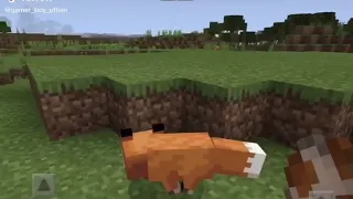 Fox jumps in a pit of lava in minecraft