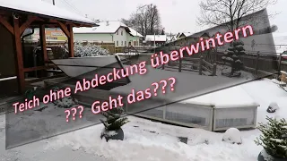 Koi Teich ohne Abdeckung überwintern