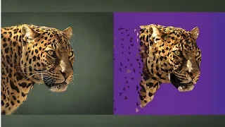 Drawing Polygon Leopard | Using Illustrator, Totally 10 HOURS - 40x Speed