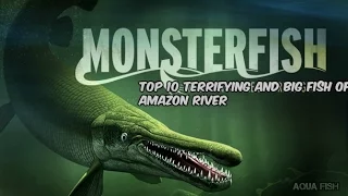 Top 10 Terrifying and big fish of The Amazon River