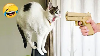 New Funny Animals 😂 Funniest Cats and Dogs Videos 2024 😺🐶Try Not To Laugh #73