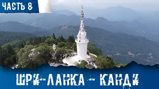 Шри-Ланка 2022 - Канди. Амбулувава и Приют Слонов. Часть 8