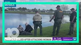 10-foot alligator kills 85-year-old Florida woman who was walking her dog