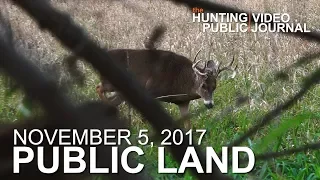 Public Land Day 27: Decoy Encounter from the Ground | The Hunting Public