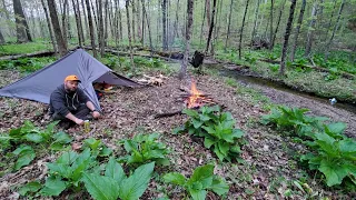 Spring Bushcraft Camp on a Hunting Preserve | Morning Rain | Tarp Tent | SOLO/ALONE | Tarp Camping