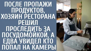 После пропаж еды, хозяин ресторана решил проследить за посудомойкой, а увидев кто попал на камеры