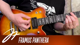 Обзор на диване - Framus Panthera Studio Custom Masterbuilt