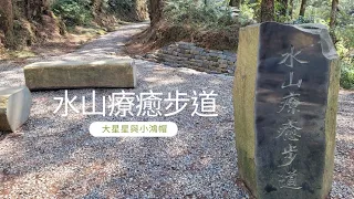 阿里山步道群1-水山療癒步道-水山巨木鐵道-大星星與小鴻帽-坐車走步道